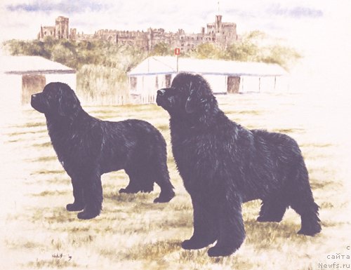 Фотография № 167657