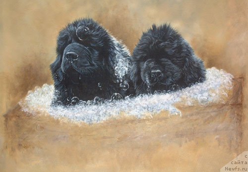 Фотография № 167658