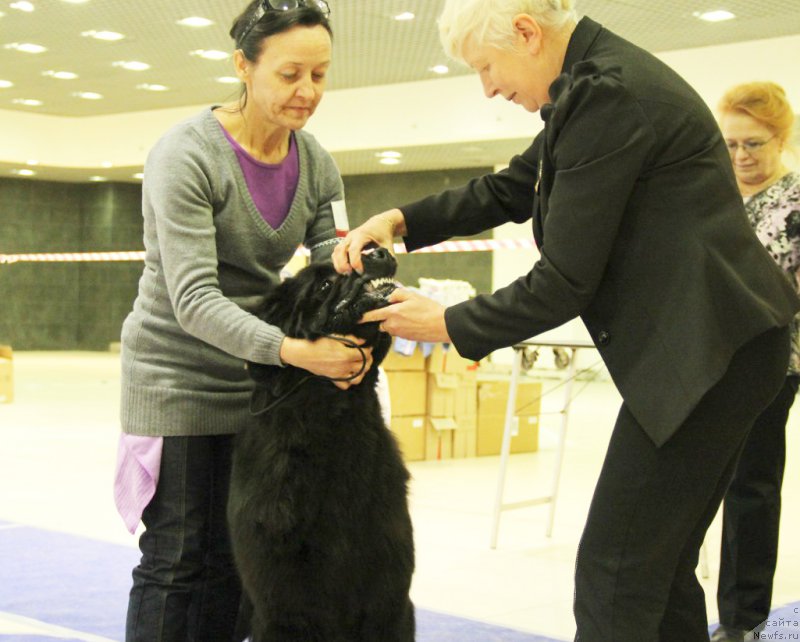 Фотография № 167662