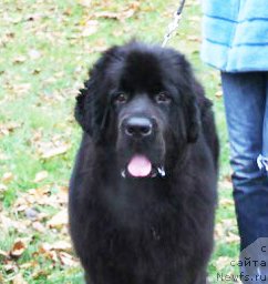 Фотография № 167663