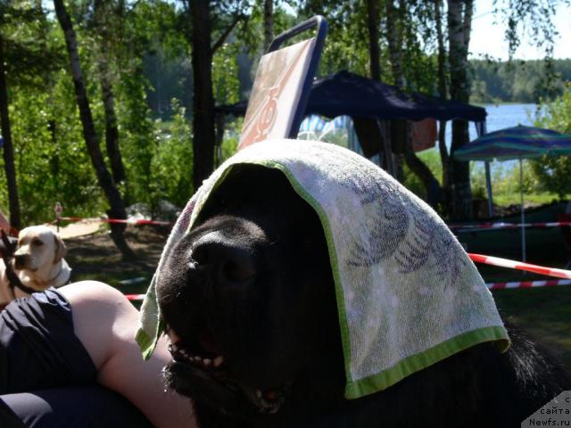 Фотография № 16769