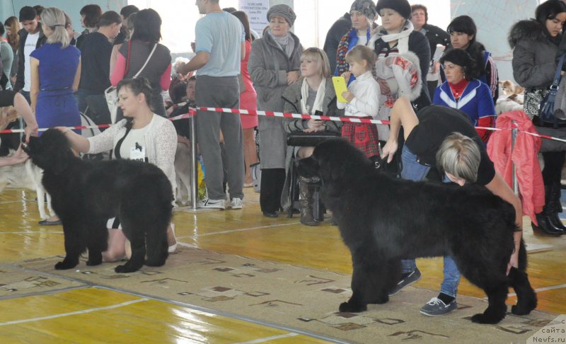 Фотография № 167690