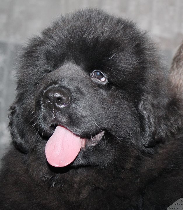 Фотография № 167694