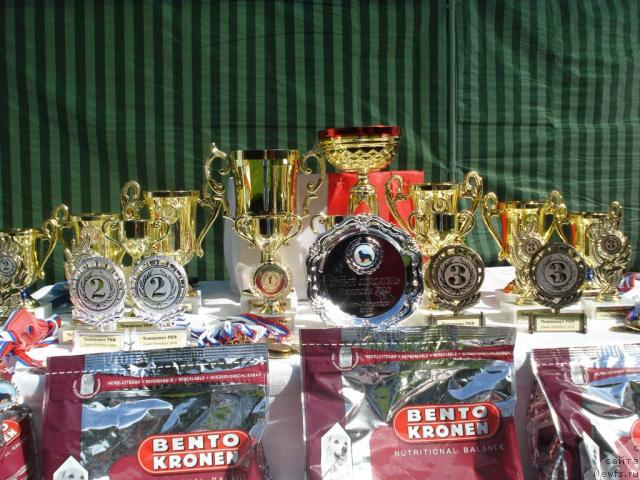 Фотография № 16771