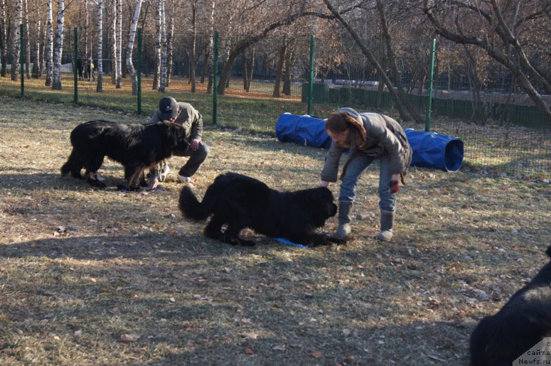 Фотография № 167712