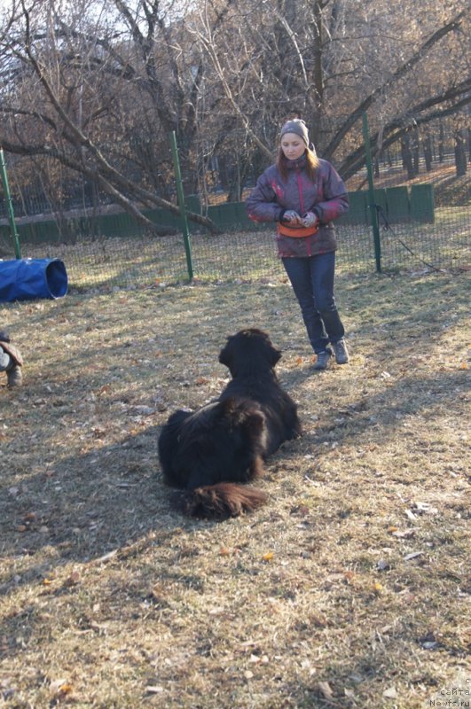 Фотография № 167713