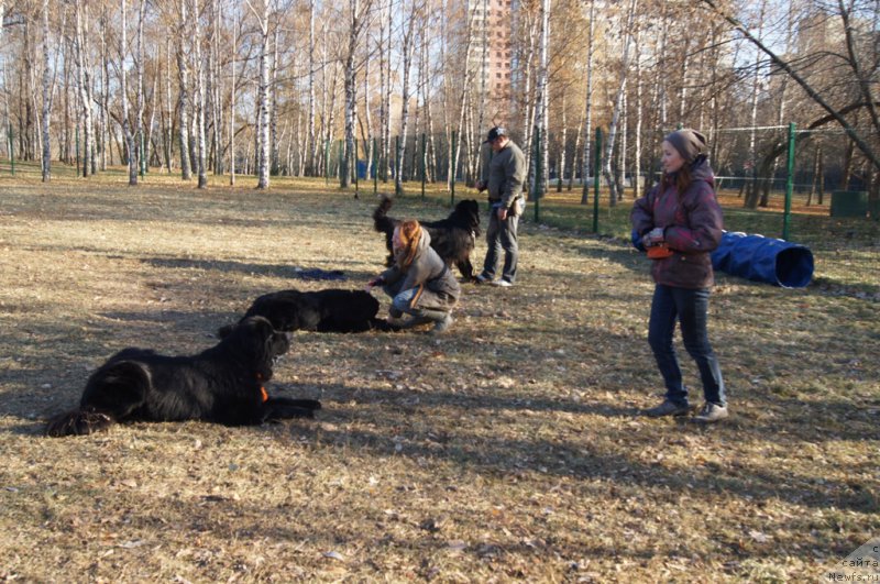 Фотография № 167714