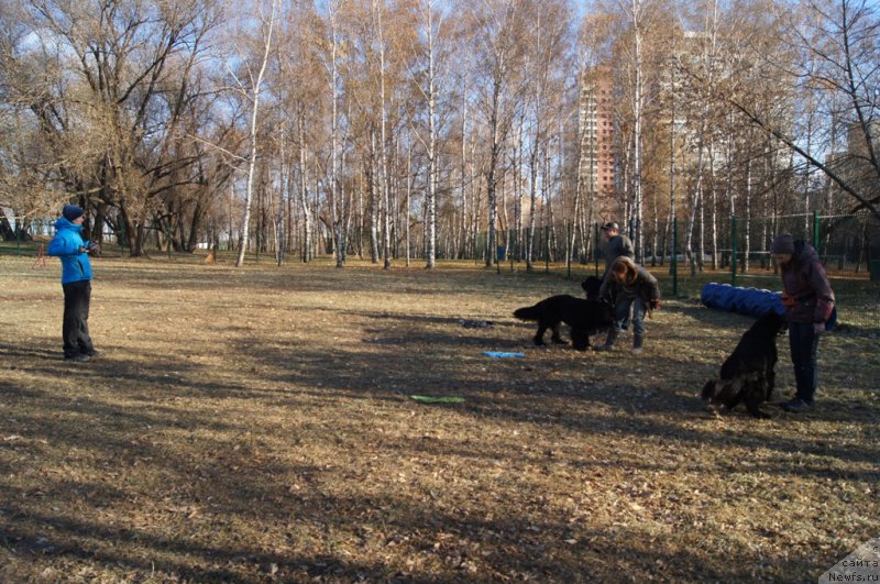 Фотография № 167715