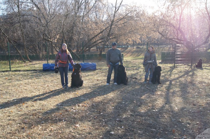 Фото: Irina Skladnova (Ирина Складнова), ньюфаундленд Chernyj Chank s Berega Dona (Черный Чанк с Берега Дона), Andrey Vasil'cov (Андрей Васильцов), ньюфаундленд Laymar Seynari (Лаймар Сейнари), Elena Tihonenko (Елена Тихоненко), ньюфаундленд Sent Djons Jozayya Valeri (Сент Джонс Жозайя Валери)