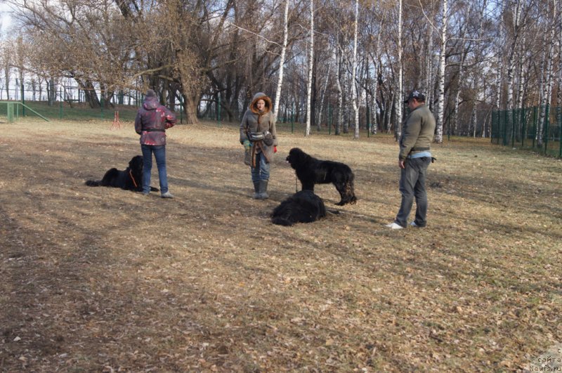 Фотография № 167724