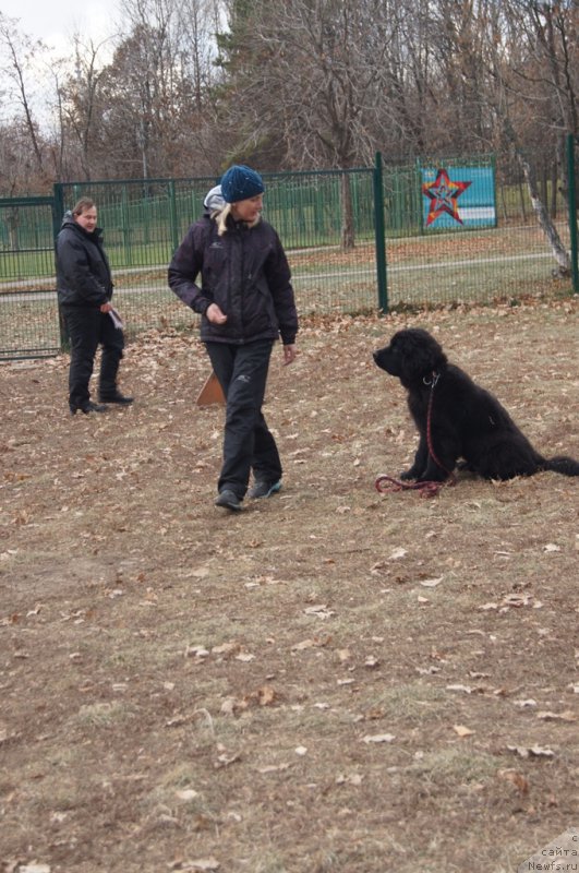 Фотография № 167725