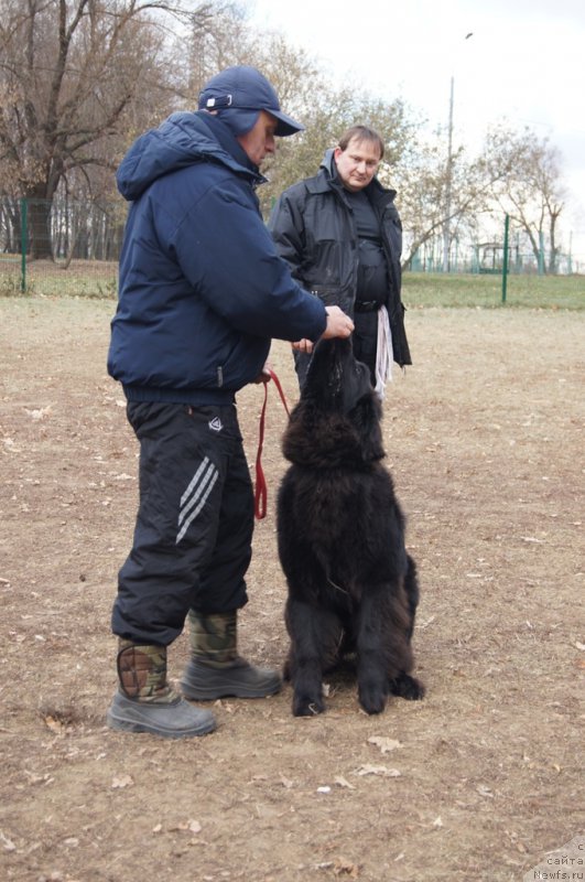 Фотография № 167726