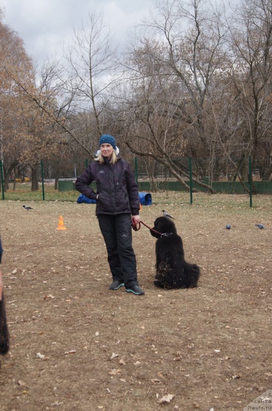 Фотография № 167727