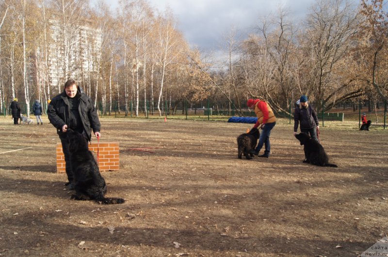 Фотография № 167732