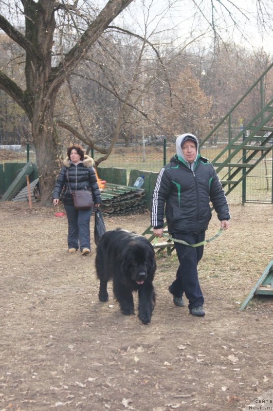 Фотография № 167733