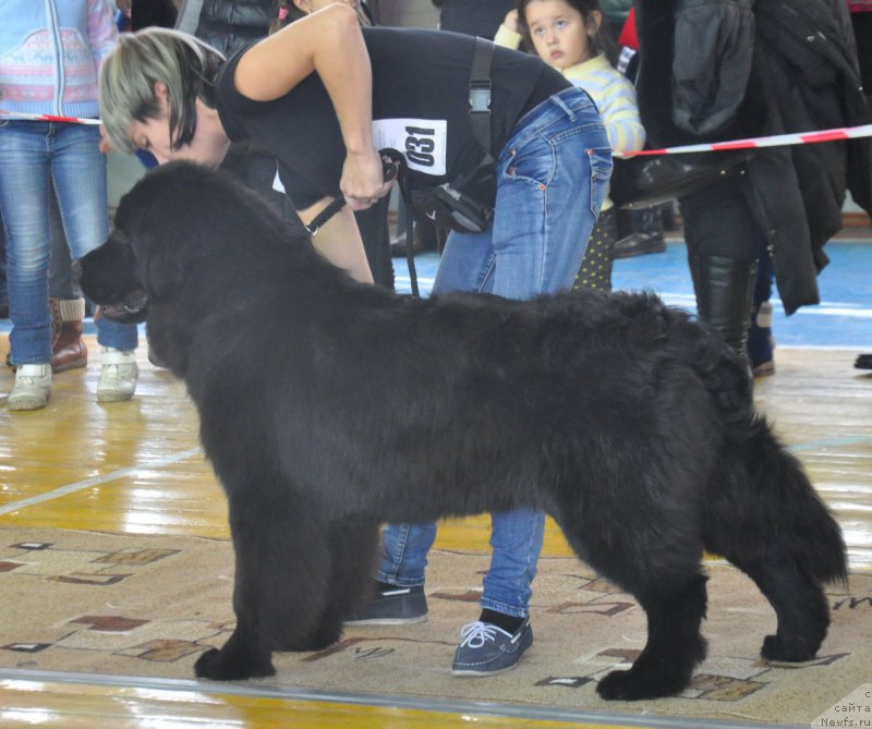 Фотография № 167734