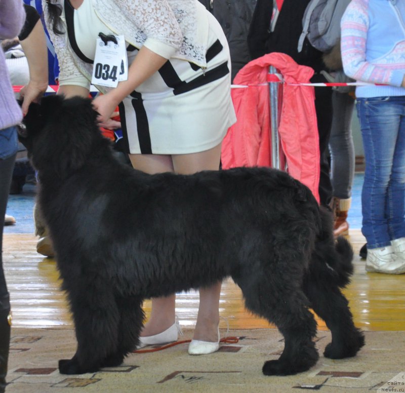 Фото: Кара Аюлар Единственная Красотка, Tat'yana Rustanova (Татьяна Рустанова)