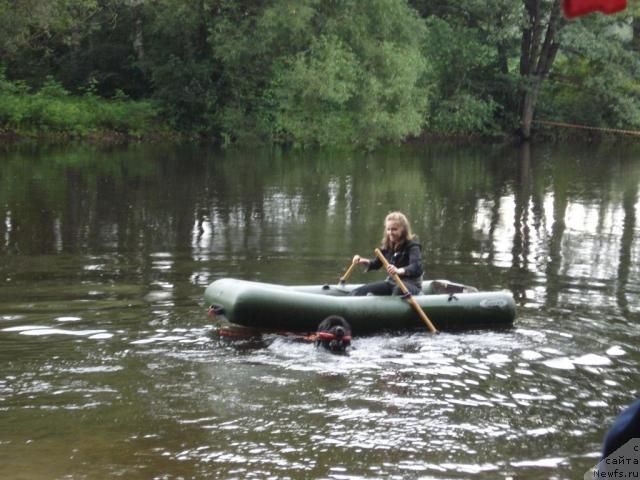 Фотография № 16774