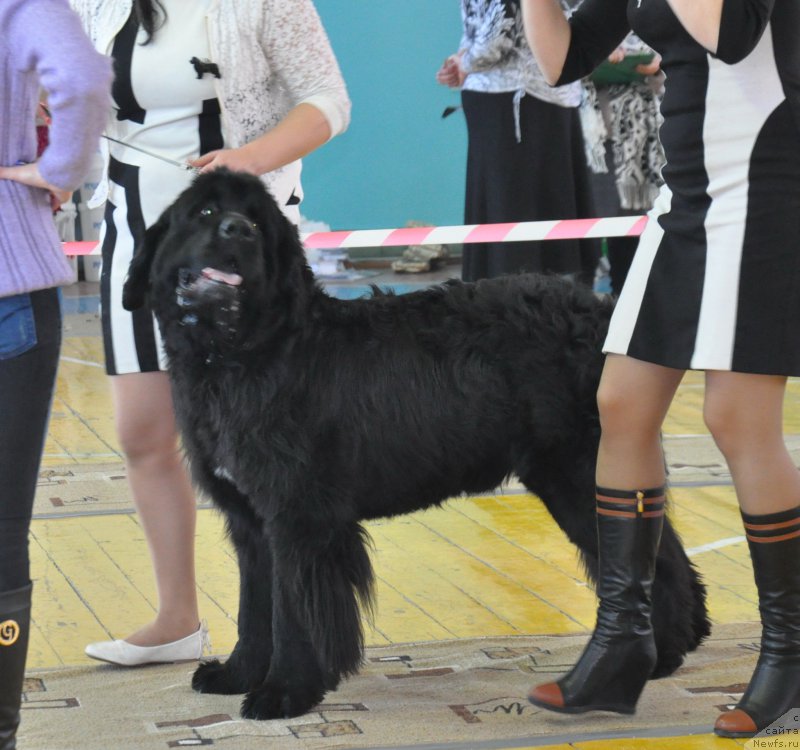 Фотография № 167742