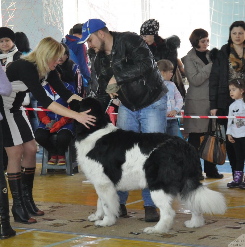 Фотография № 167743