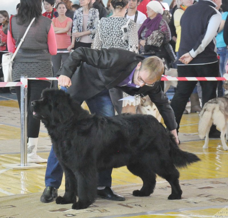 Фото: Кара Аюлар Winter Caramel, Aleksandr Fayzulin (Александр Файзулин)