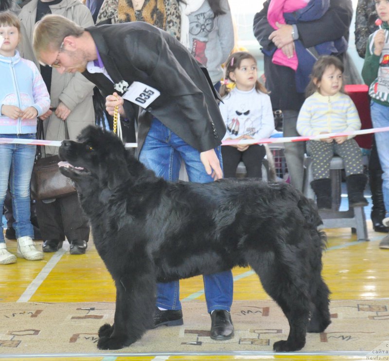 Фото: Кара Аюлар Винтер Карамель, Aleksandr Fayzulin (Александр Файзулин)
