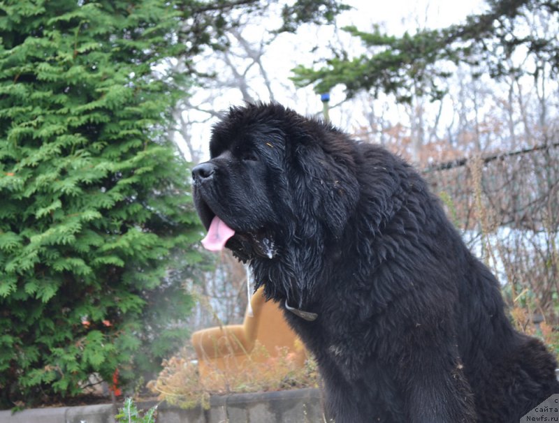 Фотография № 167751