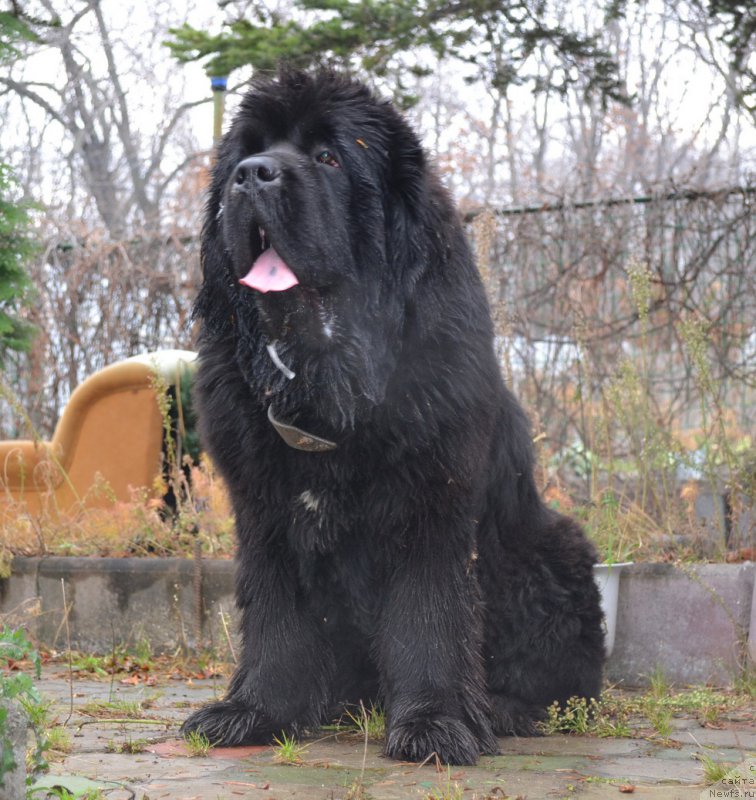 Фотография № 167752