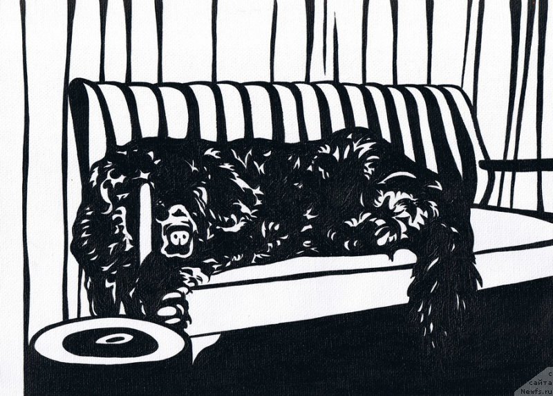 Фотография № 167755