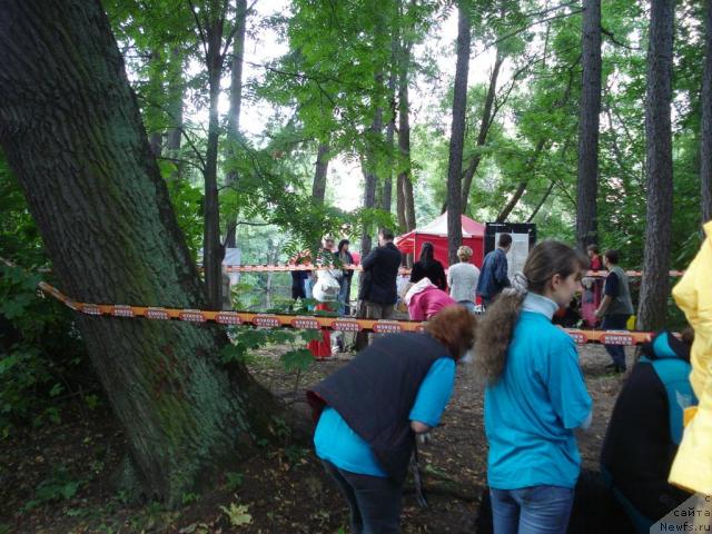 Фотография № 16776