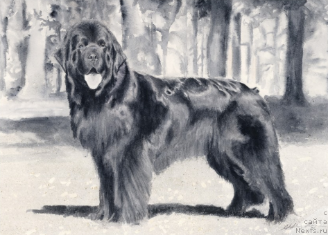 Фотография № 167772