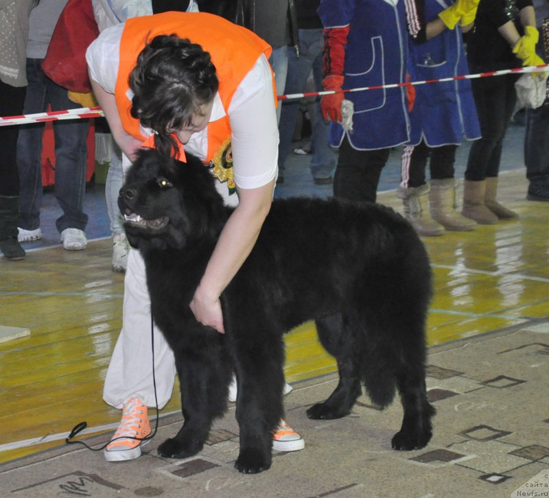 Фото: Кара Аюлар Еван Де Марко, Tat'yana Rustanova (Татьяна Рустанова)