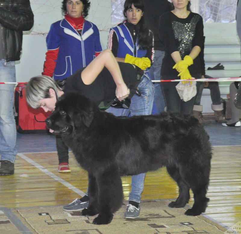 Фотография № 167786