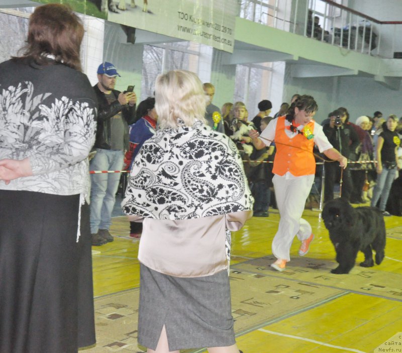 Фотография № 167788