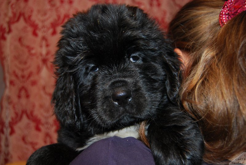 Фотография № 167792