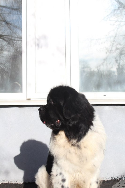 Фотография № 167795