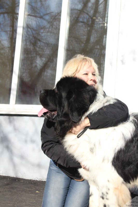 Фотография № 167798