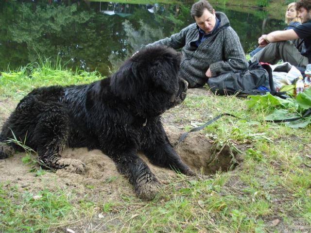 Фотография № 16780