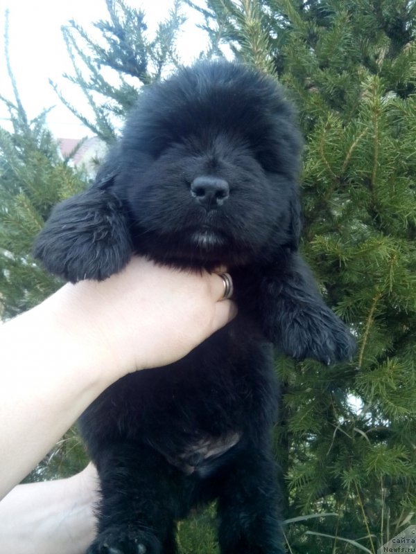 Фотография № 167807