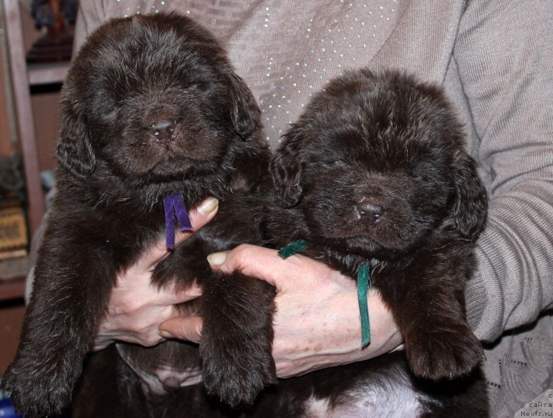 Фотография № 167811