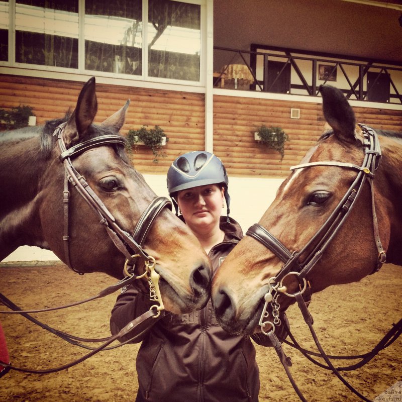 Фотография № 167819