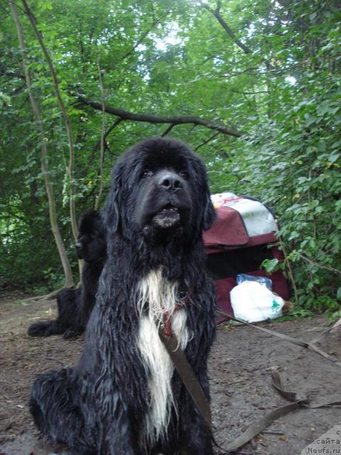 Фотография № 16782