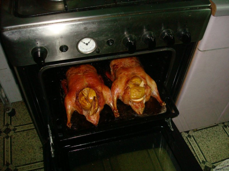 Фотография № 167820