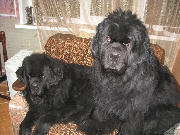 Фотография № 167822