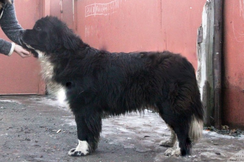 Фотография № 167828