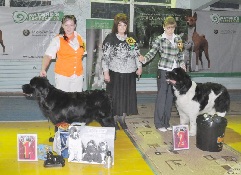 Фото: ньюфаундленд Leonardo San-Marino (Леонардо Сан-Марино), ньюфаундленд Kara Ayular Almaznaya Princessa (Кара Аюлар Алмазная Принцесса), Tat'yana Rustanova (Татьяна Рустанова), Катерина, Valeriya Rakuta (Валерия Ракута)