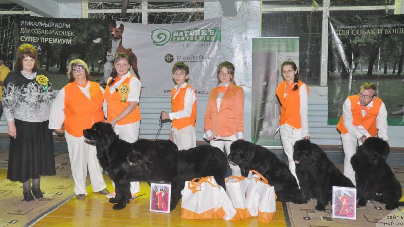 Фото: ньюфаундленд Rokot Volny Varga Kara Ayular (Рокот Волны Варга Кара Аюлар), ньюфаундленд Kara Ayular Almaznaya Princessa (Кара Аюлар Алмазная Принцесса), ньюфаундленд Kara Ayular Winter Snow Flake, ньюфаундленд Kara Ayular Winter Caramel, Кара Аюлар Еван де Марко, Tat'yana Rustanova (Татьяна Рустанова), Aleksandr Fayzulin (Александр Файзулин), Valeriya Rakuta (Валерия Ракута), Natal'ya Korchaga (Наталья Корчага), Marina Turapina (Марина Турапина), Ю.Пеньковский