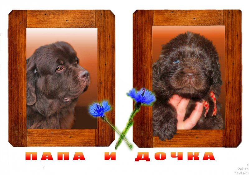 Фотография № 167845