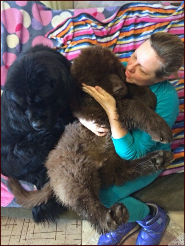 Фотография № 167846