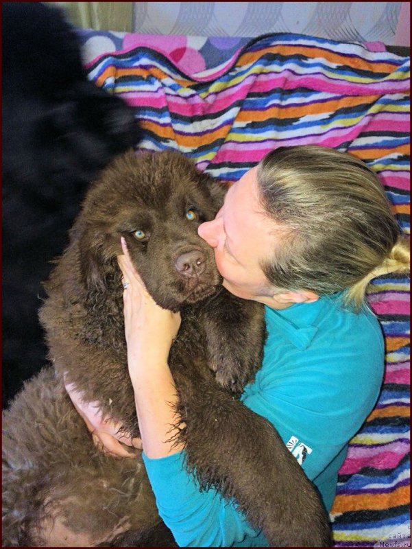 Фотография № 167847